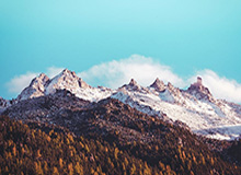 国安0-6惨败泰山深夜发声明：球队全体深感自责 对球迷郑重地说对不起